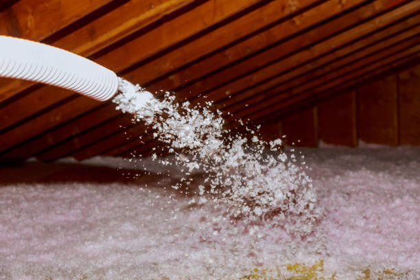 Best Attic Insulation Installation  in Pioneer, CA