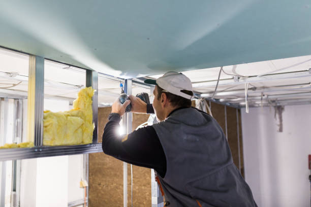 Best Home Insulation Services  in Pioneer, CA