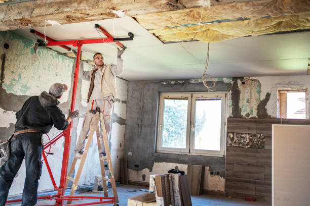 Best Insulation Repair Services  in Pioneer, CA