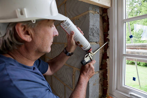 Best Spray Foam Insulation  in Pioneer, CA