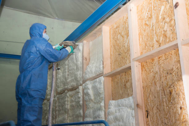 Best Fiberglass Insulation  in Pioneer, CA