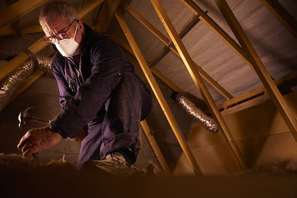 Best Insulation Replacement Services  in Pioneer, CA